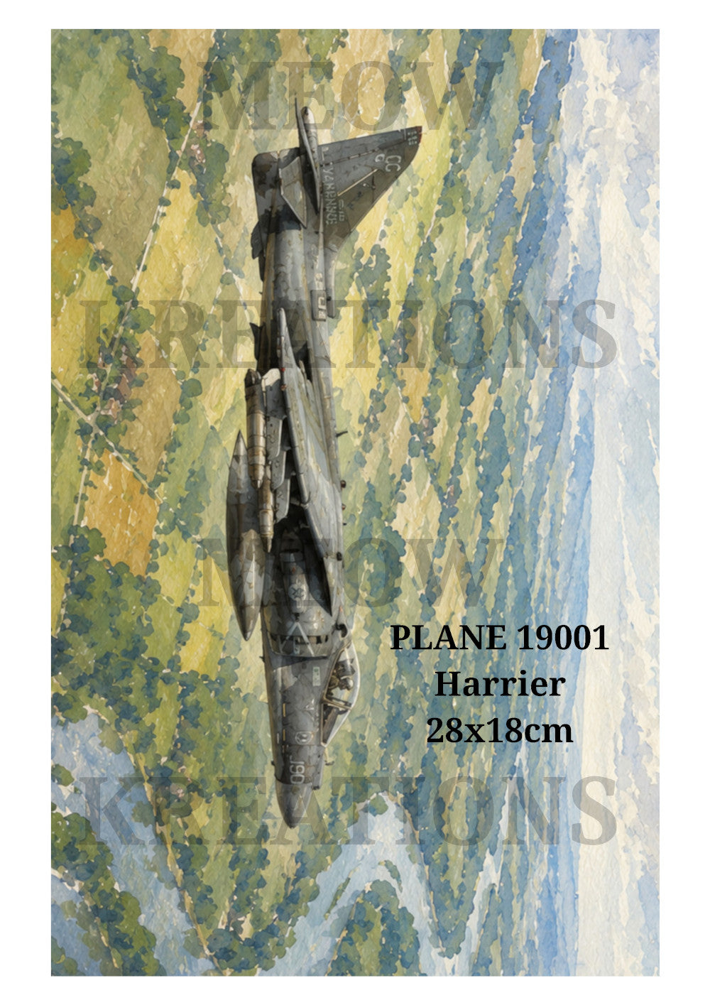 PLANE 19001