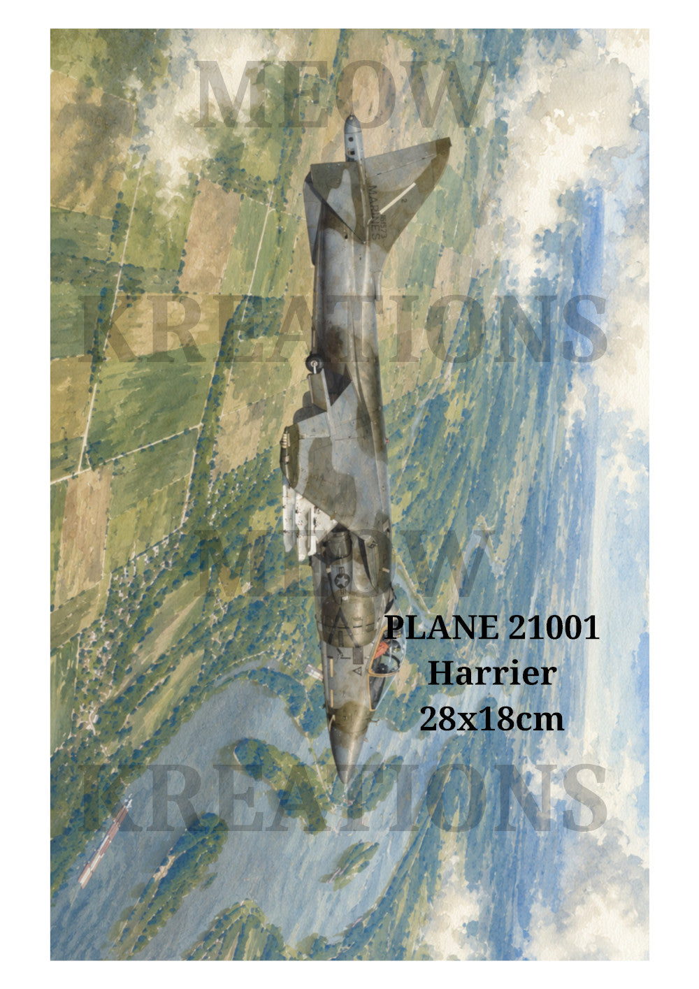 PLANE 21001