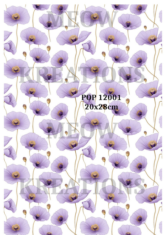 POP 12001