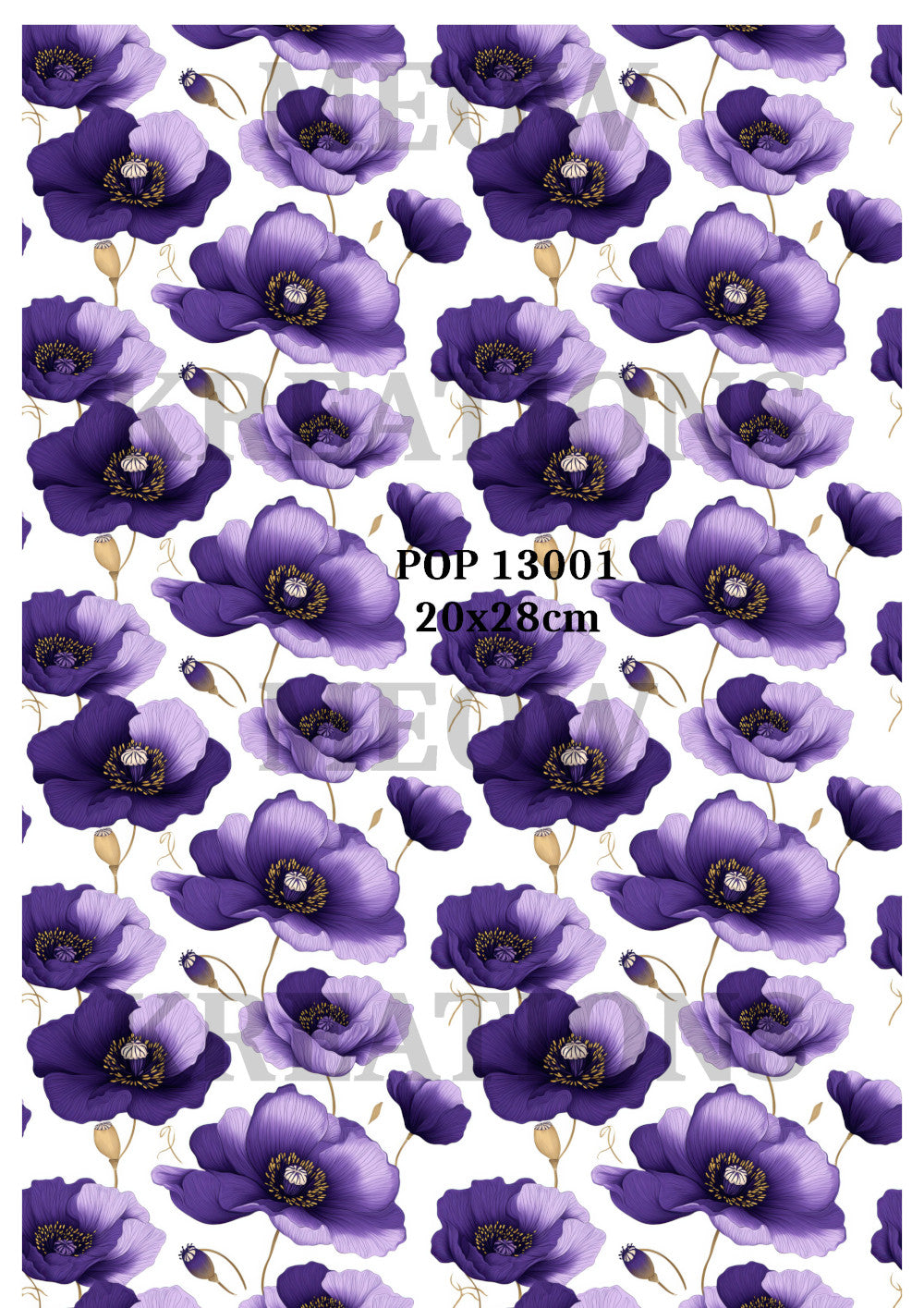 POP 13001