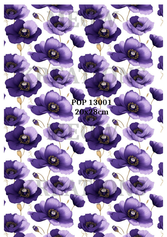 POP 13001