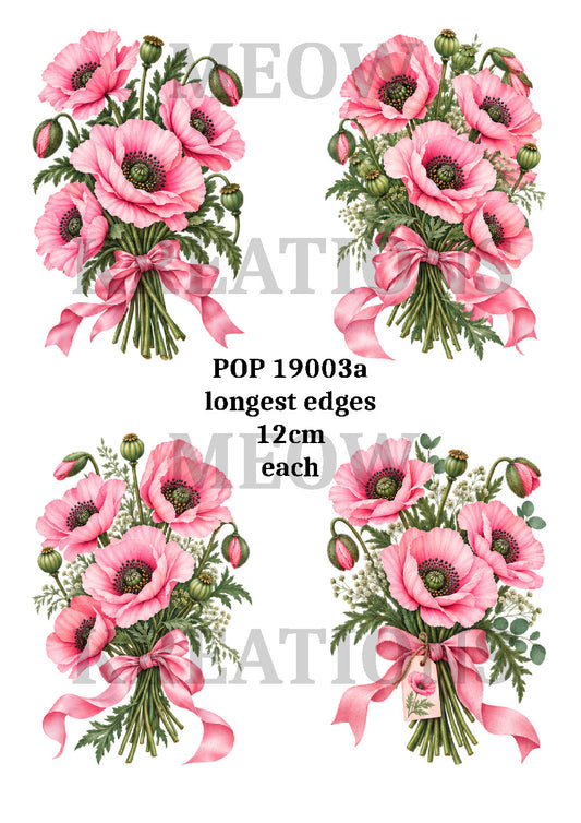 POP 19003a