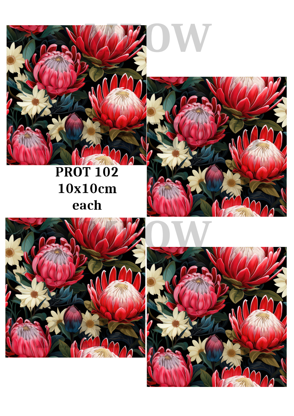 PROT 102