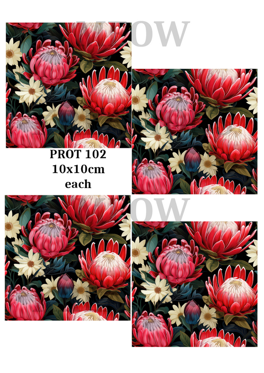 PROT 102