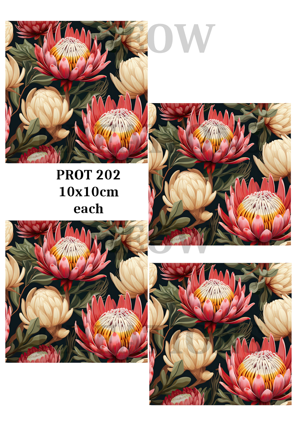 PROT 202