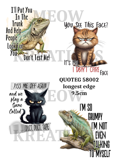 Decoupage Rice Paper - QUOTEG 58002
