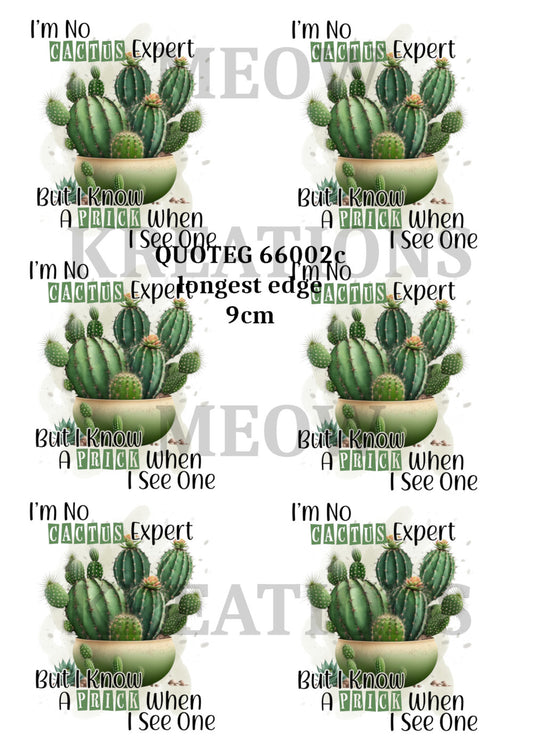 QUOTEG 66002c