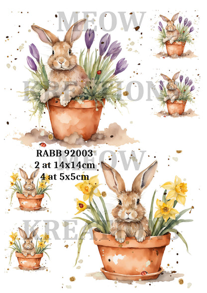 Decoupage Rice Paper - RABB 92003