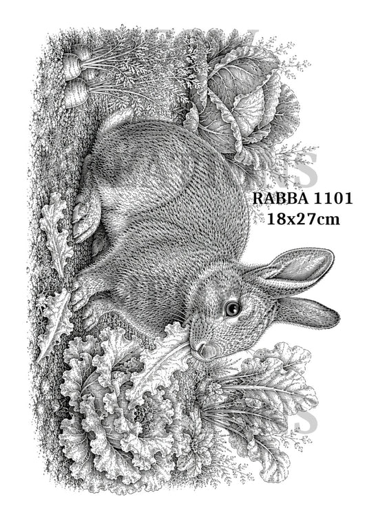 RABBA 1101