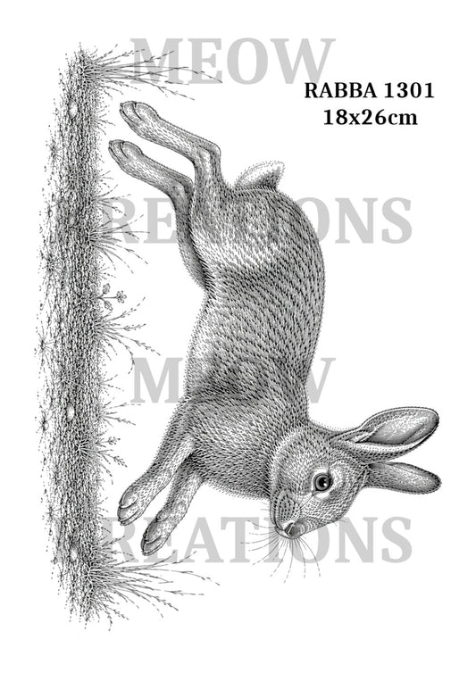 RABBA 1301