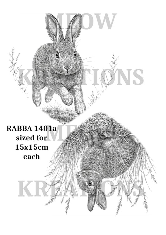 RABB16001