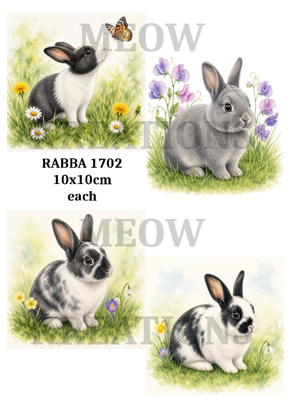RABB16001