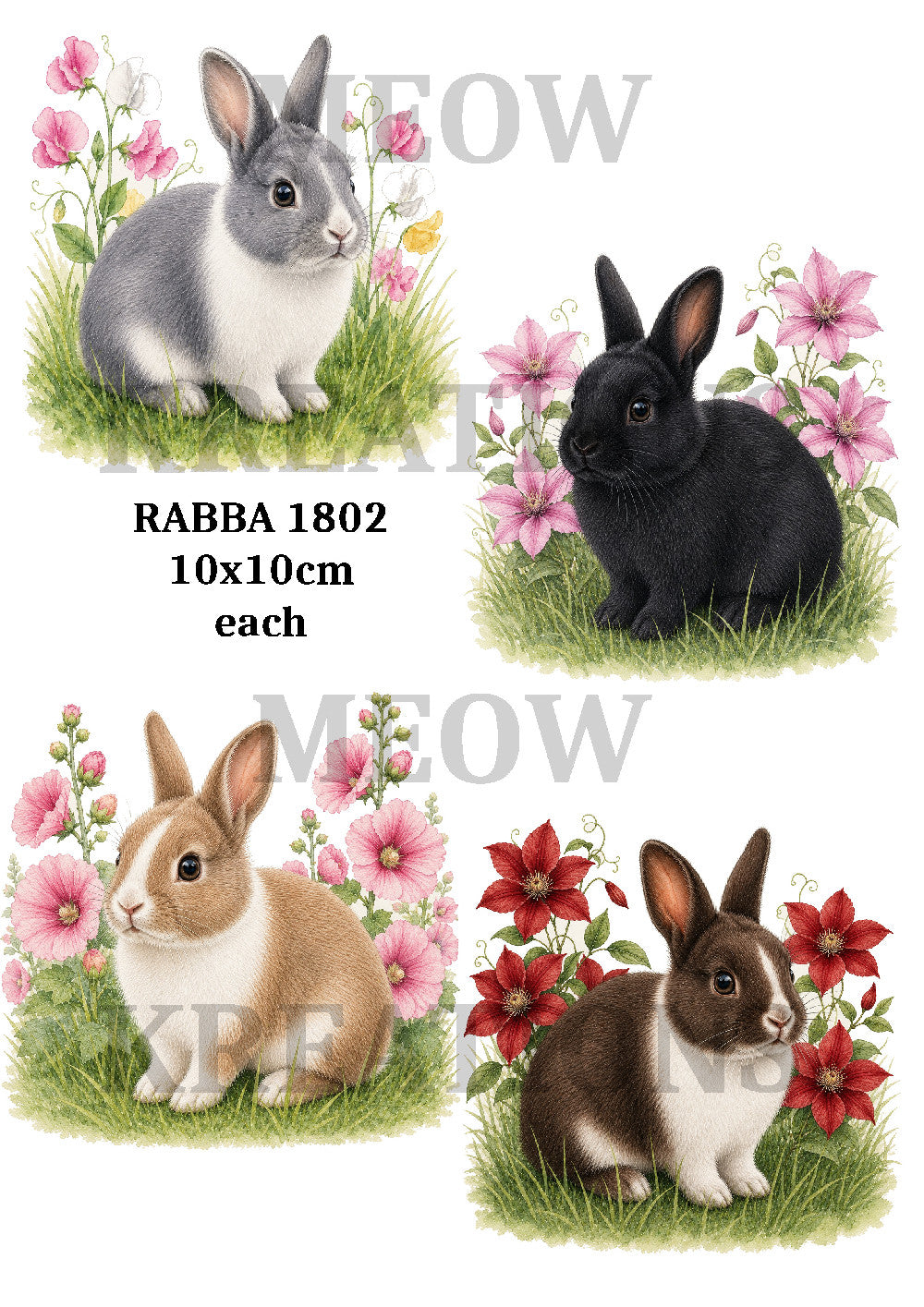 RABBA 1802