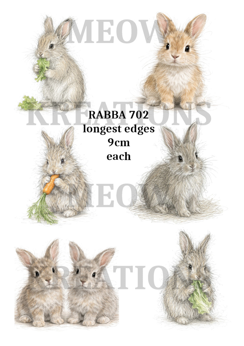 RABBA 702