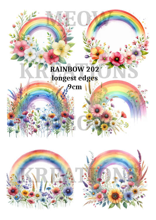 RAINBOW 202