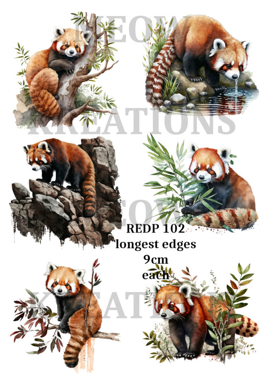 REDP 102