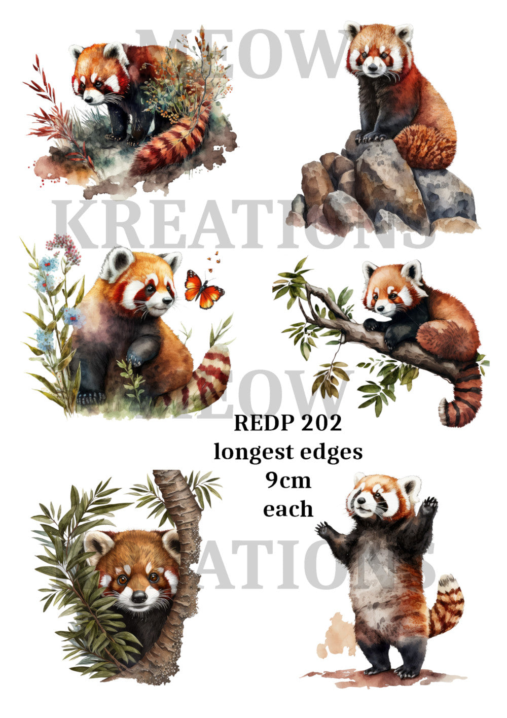 REDP 202