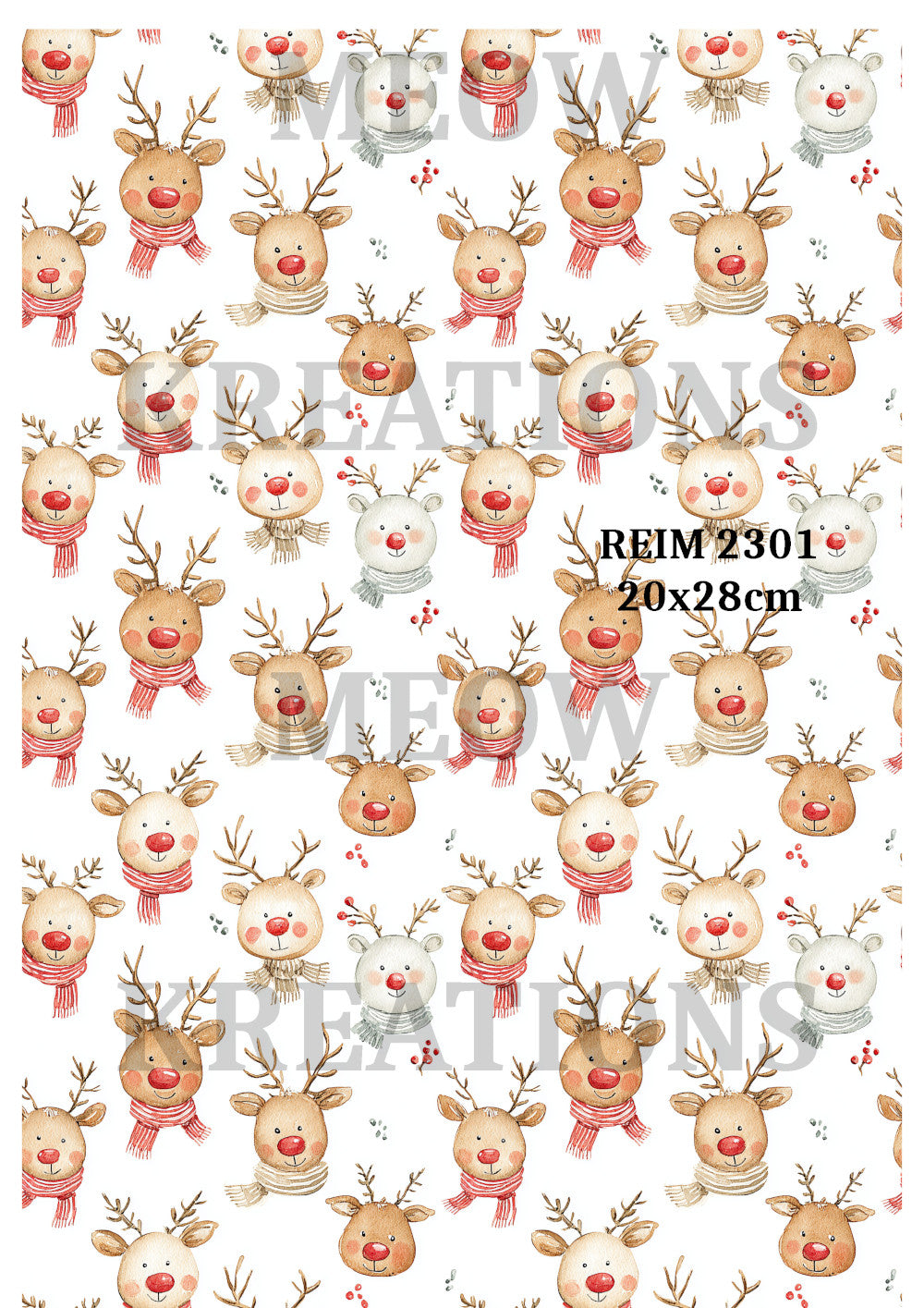REIM 23001