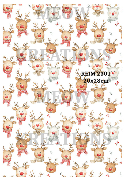 REIM 23001