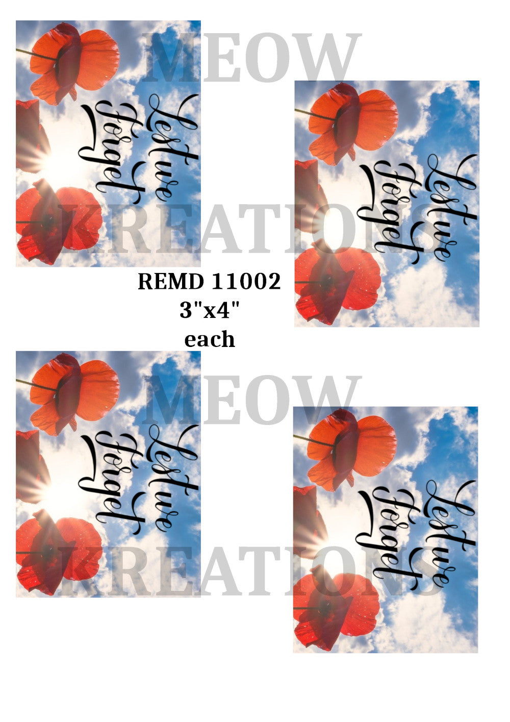 REMD 11002