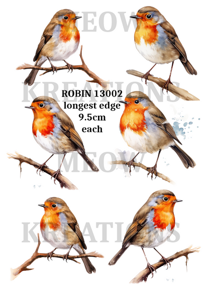 Robin Bird on Branch Decoupage Rice Paper - ROBIN 13002
