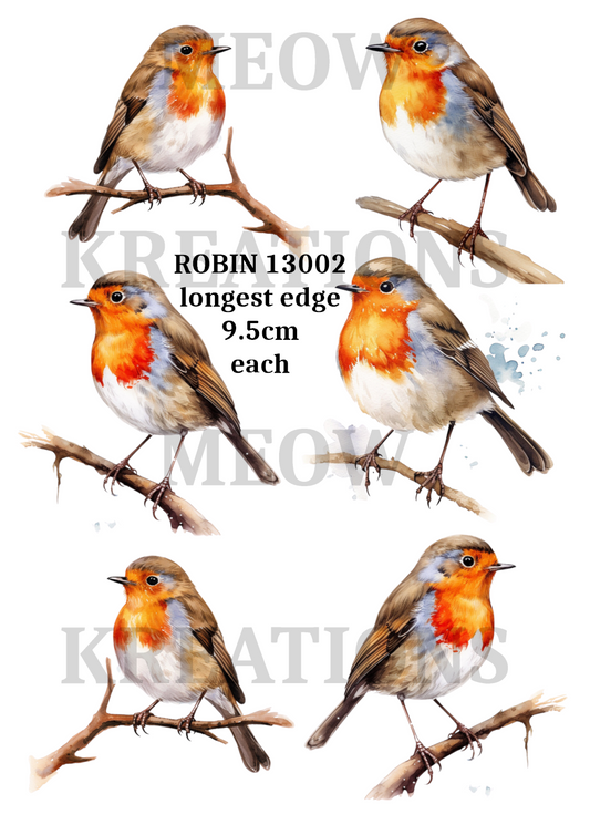 ROBIN 13002