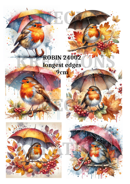 Robin Bird Umbrella Autumn Decoupage Rice Paper - ROBIN 24002