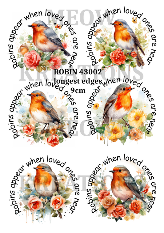 ROBIN 43002