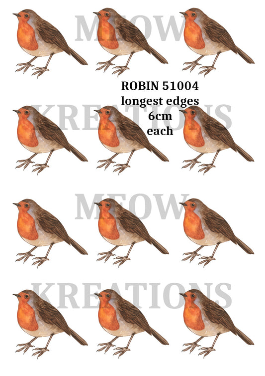 ROBIN 51004