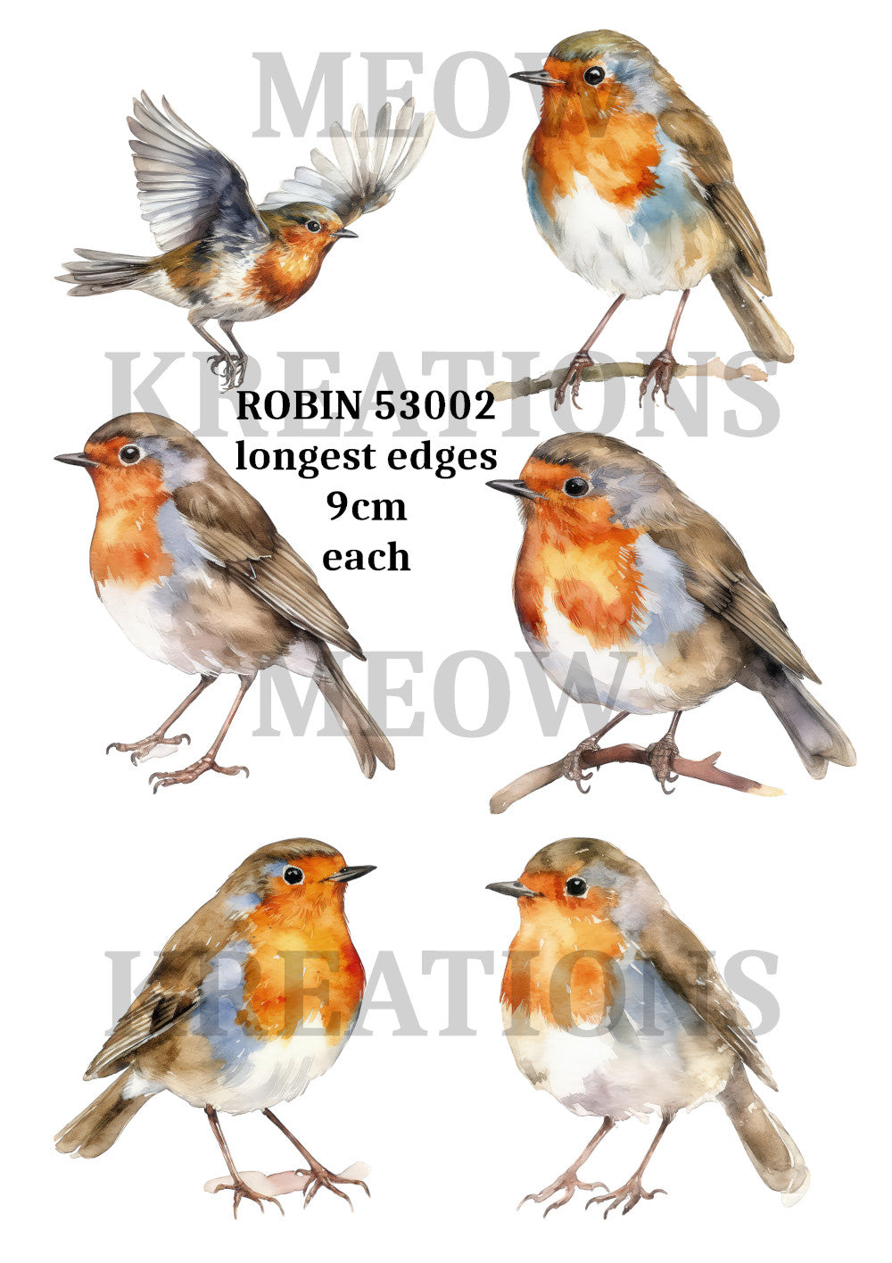 ROBIN 53002