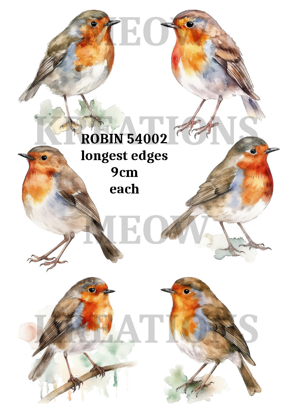 Robin Bird Decoupage Rice Paper - ROBIN 54002