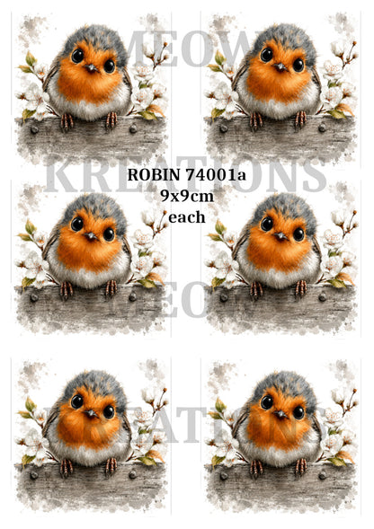 Robin on a wall - ROBIN 74001a