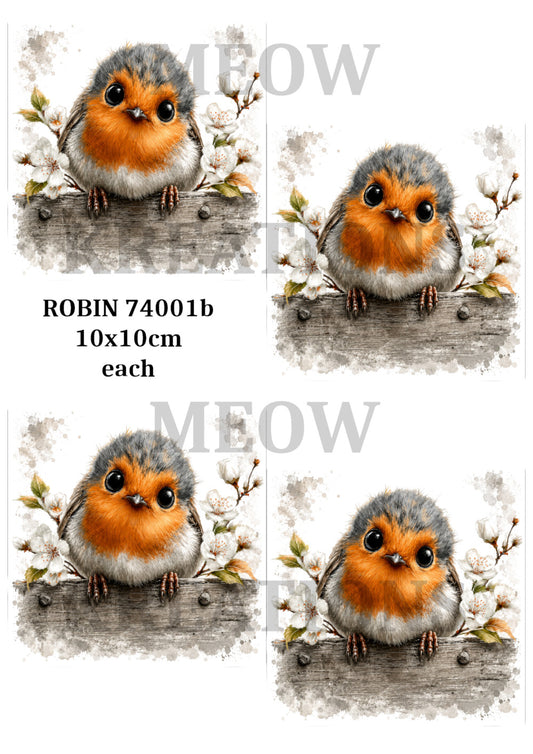 ROBIN 74001b