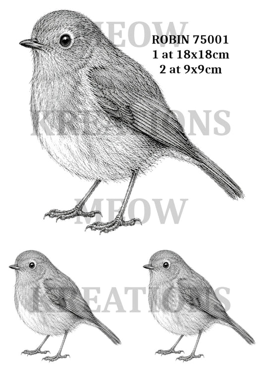 ROBin 75001