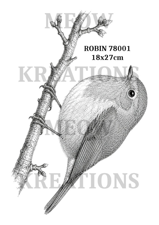 ROBin 78001