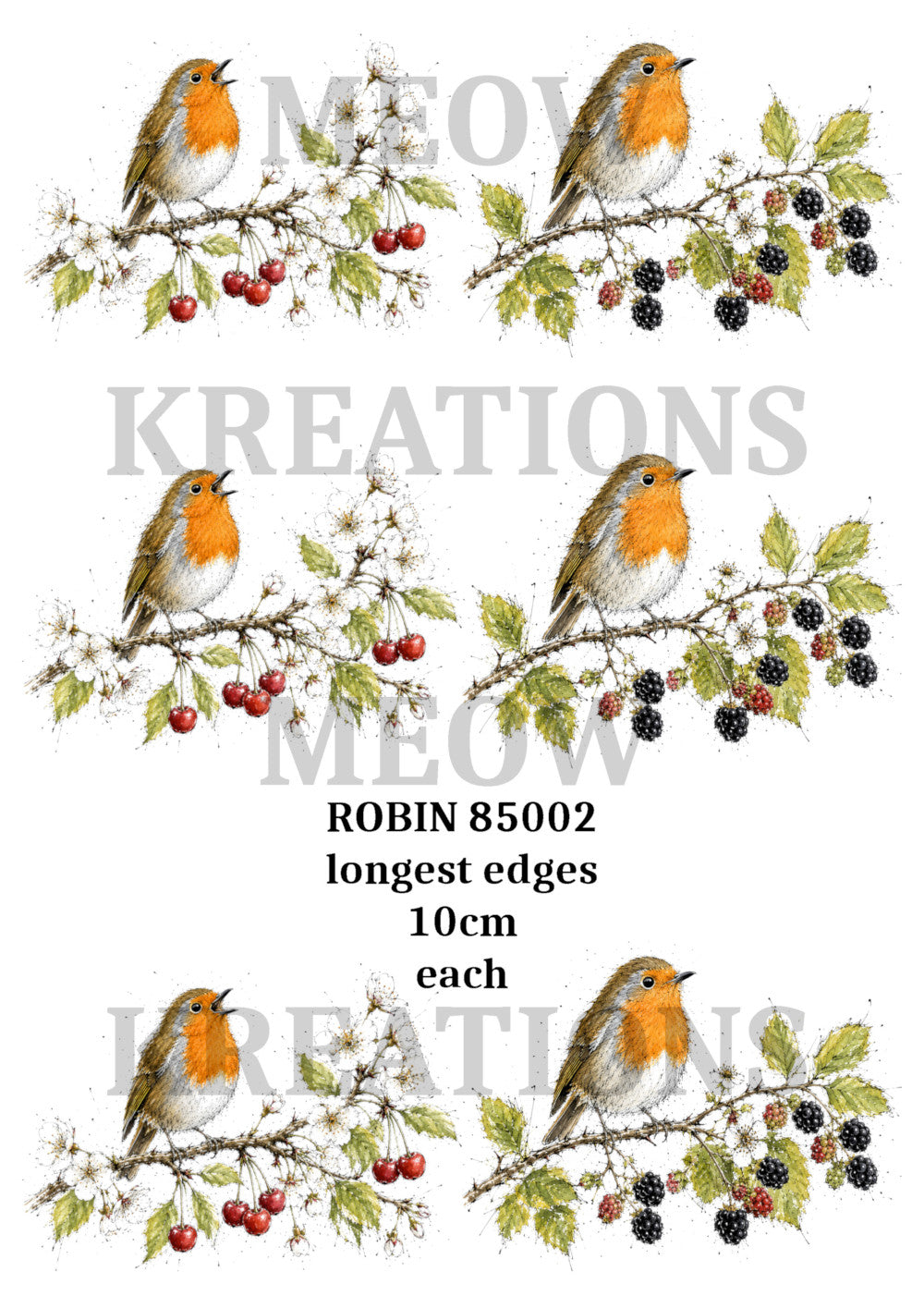 ROBin 85002