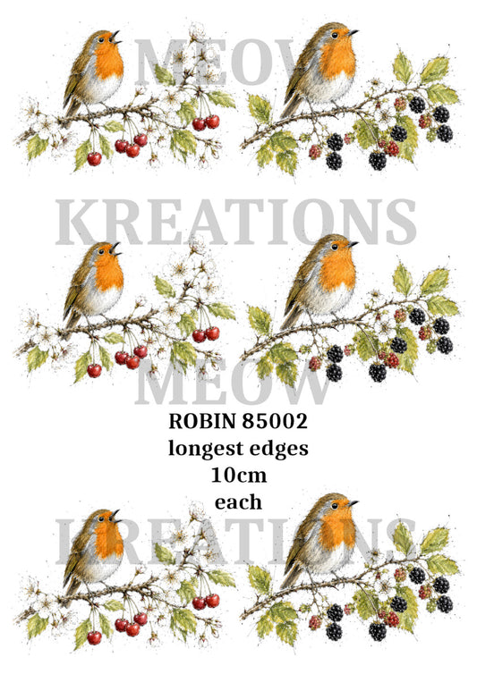 ROBin 85002