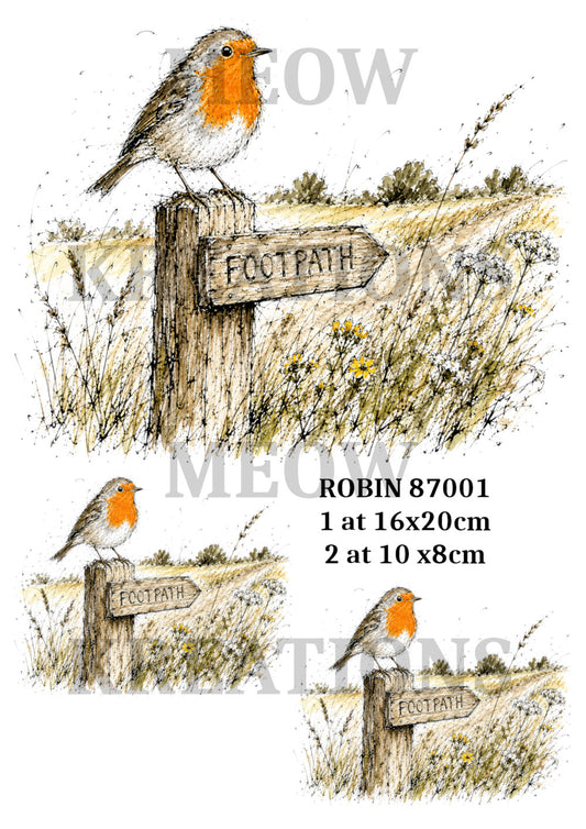 ROBin 87001