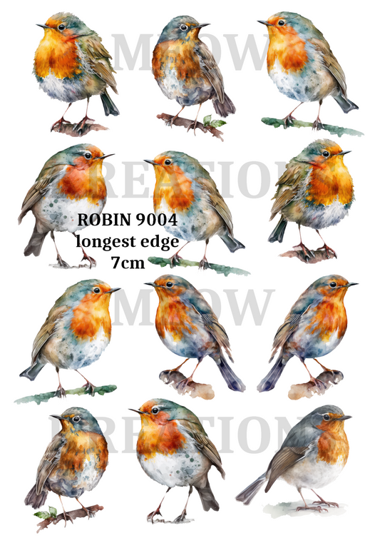 ROBIN 9004