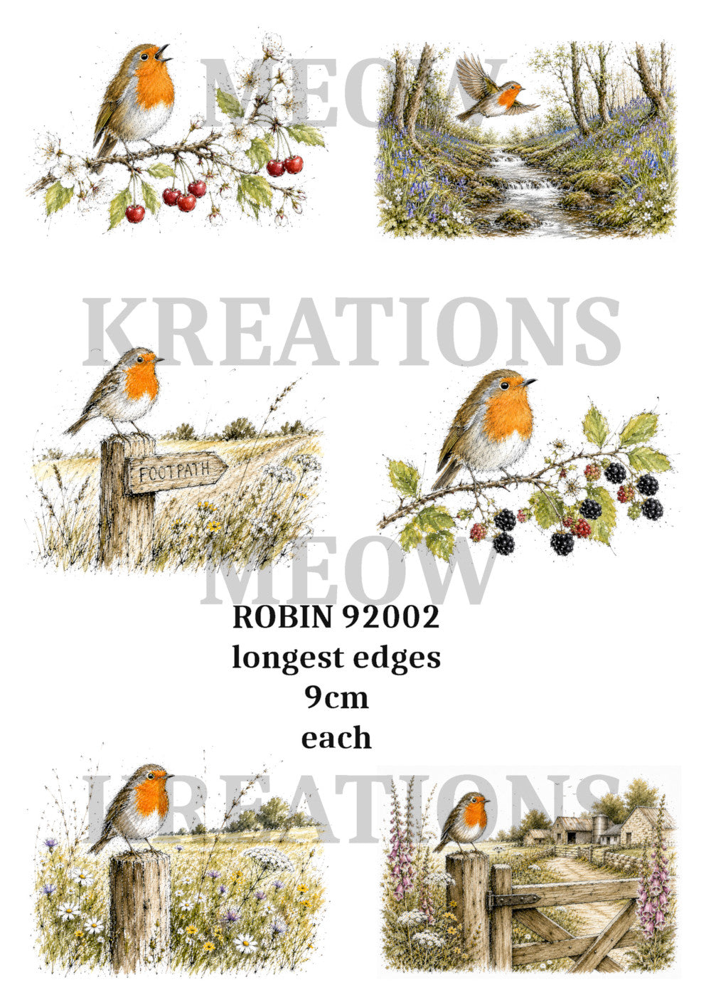 ROBin 92002