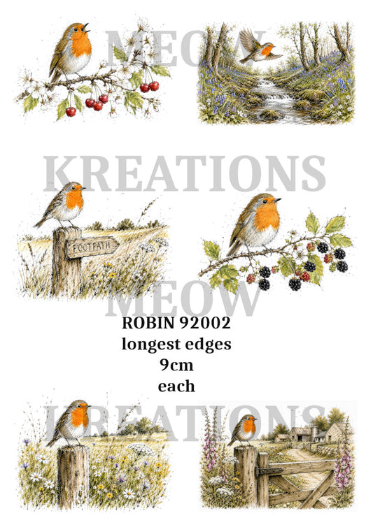 ROBin 92002