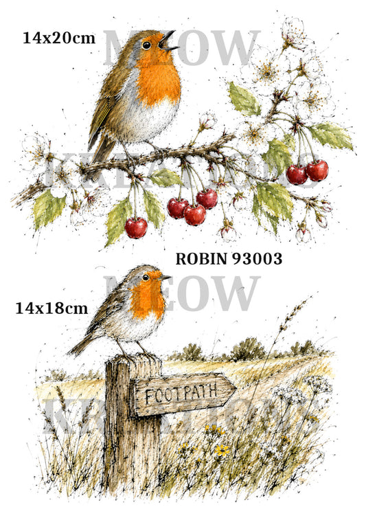 ROBin 93003