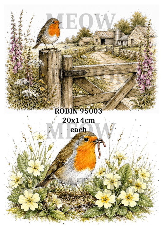 ROBin 95003