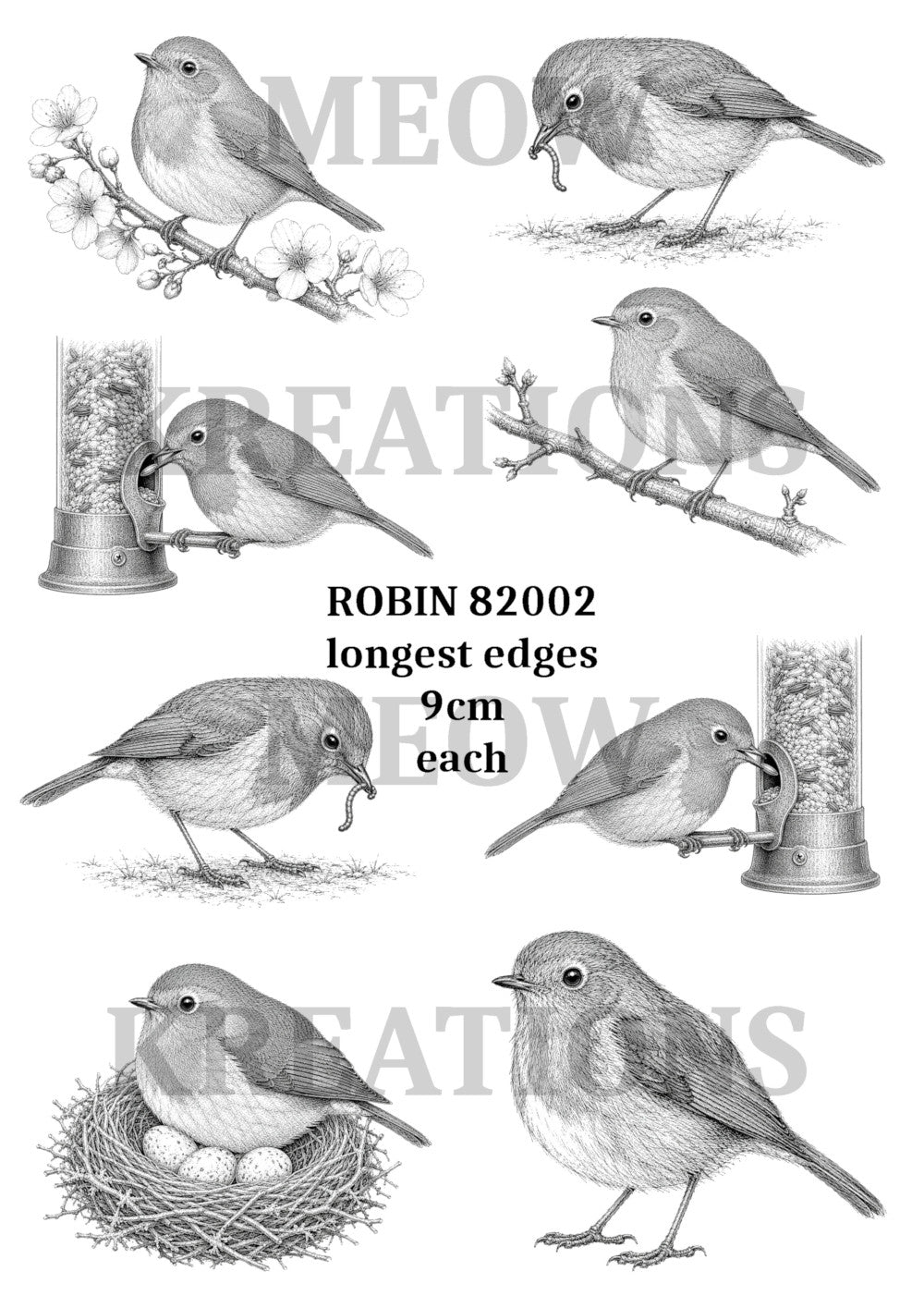 Robin in black and white - ROBIN 82002
