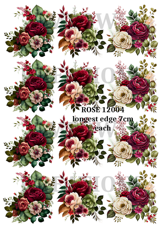 ROSE 12004