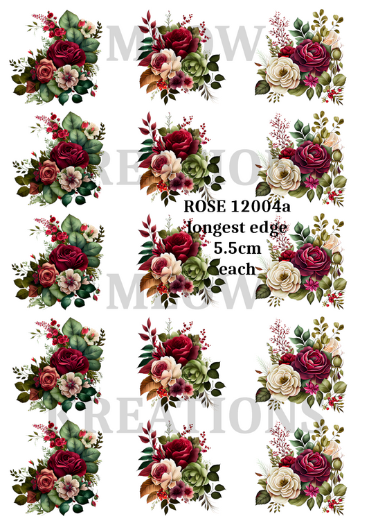 ROSE 12004a