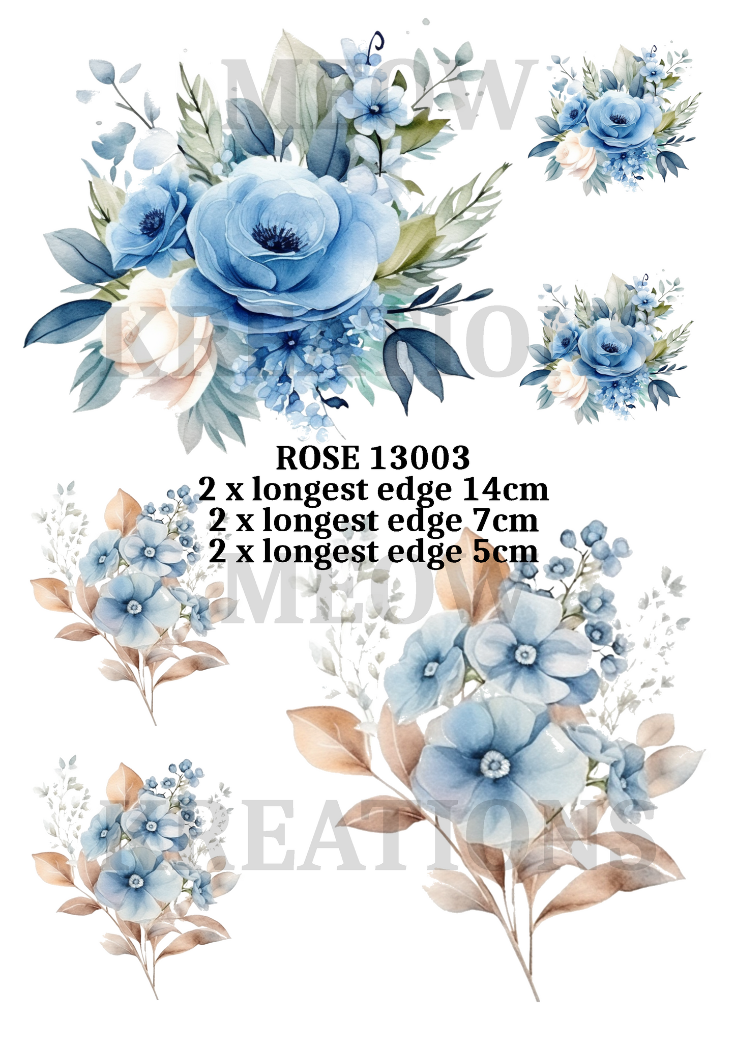 ROSE 13003