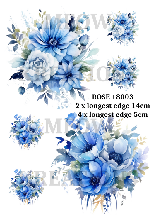 ROSE 18003