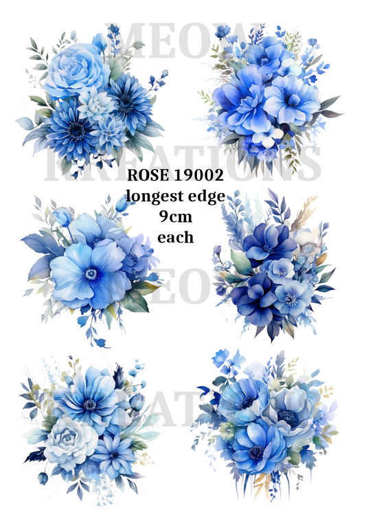 ROSE 19002