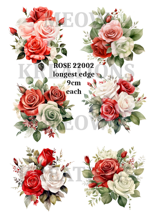 ROSE 22002